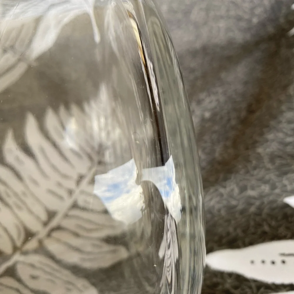 NEW Open Top Dome Glass Terrarium